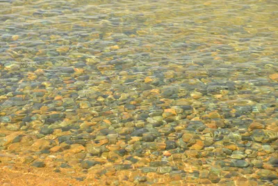 DSC_6765 (Large).JPG